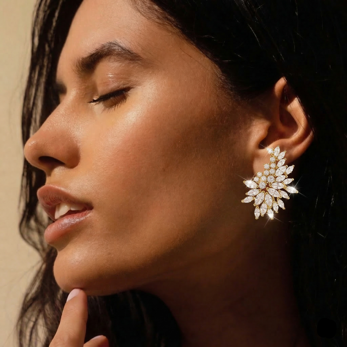 Luxury Zircon Stone Earrings